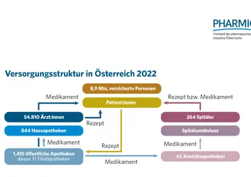 1.6 Versorgungsstruktur in Österreich 2022